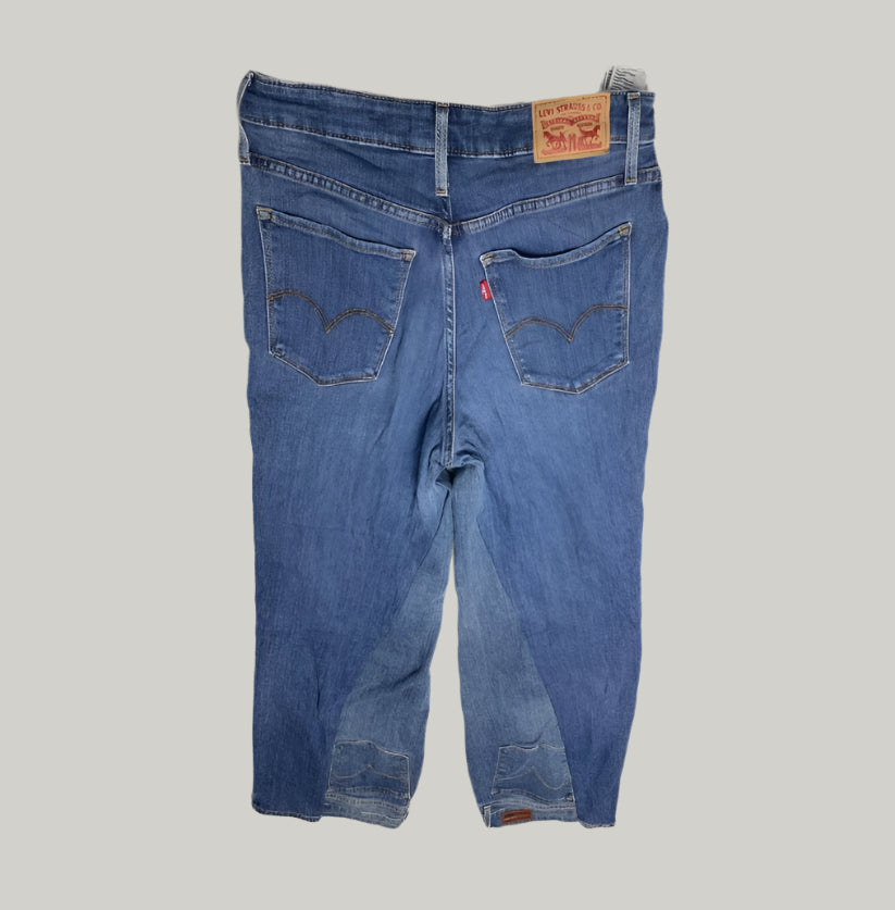 Levi Strauss & Co. Classic Blue Denim Jeans
