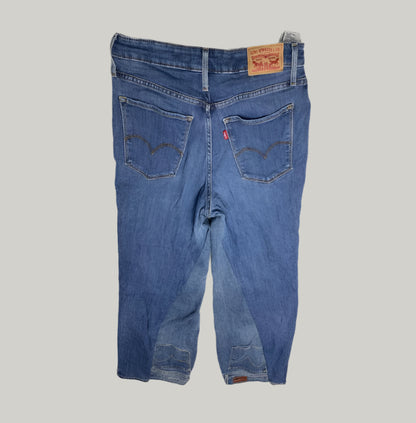 Levi Strauss & Co. Classic Blue Denim Jeans