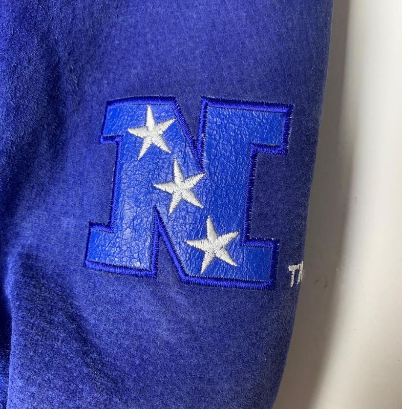 G-III & Carl Banks Suede and Leather Varsity Jacket