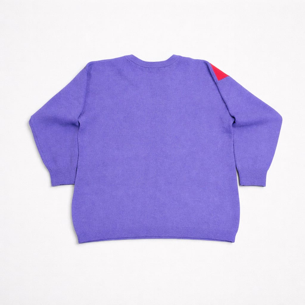 Paco Purple Colorful Jumper