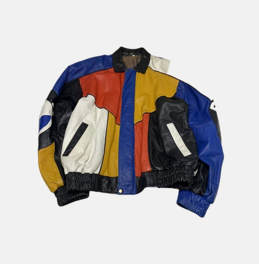 BMW Multi-Color Leather Racing Jacket